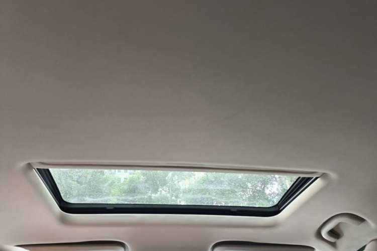 Used Buick Regal 2017 20T Elite Edition Headliner