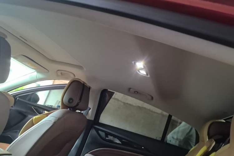 Used Buick Regal 2017 20T Elite Edition Headliner