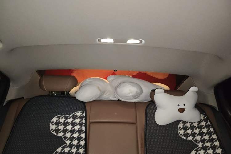 Used Buick Regal 2017 20T Elite Edition Headliner
