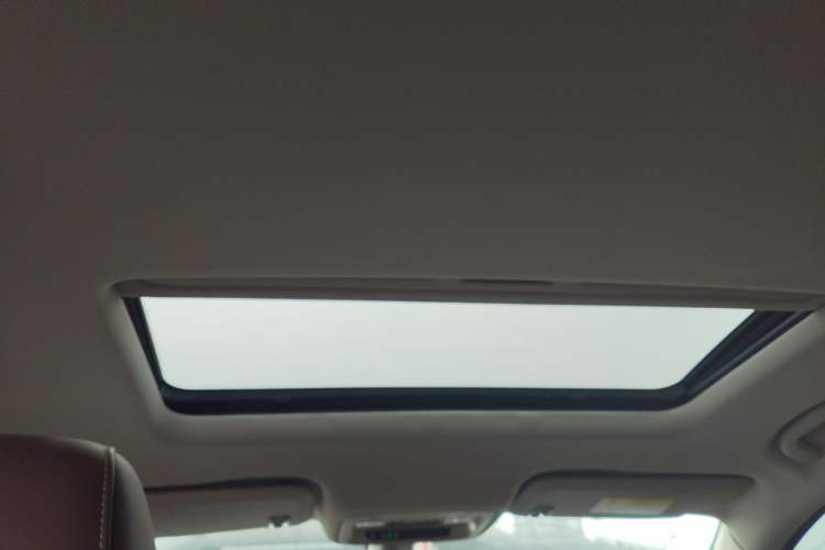 Used Buick Regal 2017 20T Elite Edition Headliner