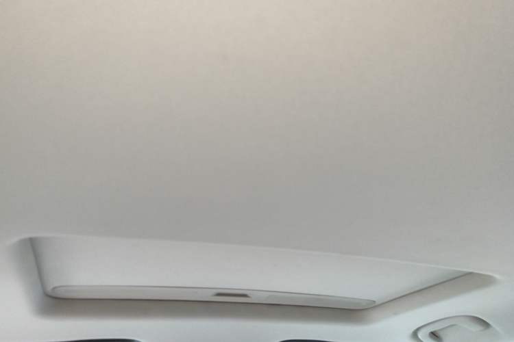 Used Buick Regal 2017 20T Elite Edition Headliner