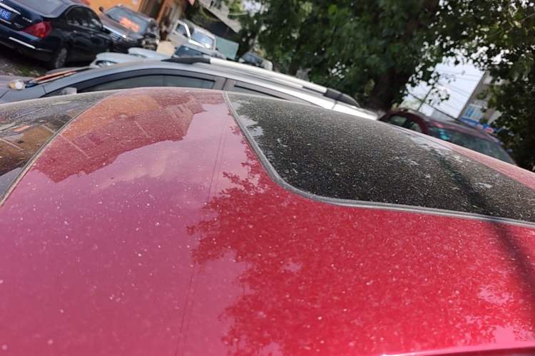 Used Buick Regal 2017 20T Elite Edition Roof