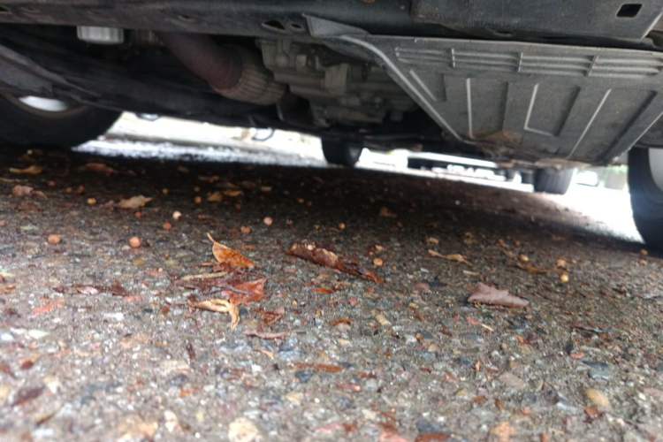 Used Buick Regal 2017 20T Elite Edition Chassis Front