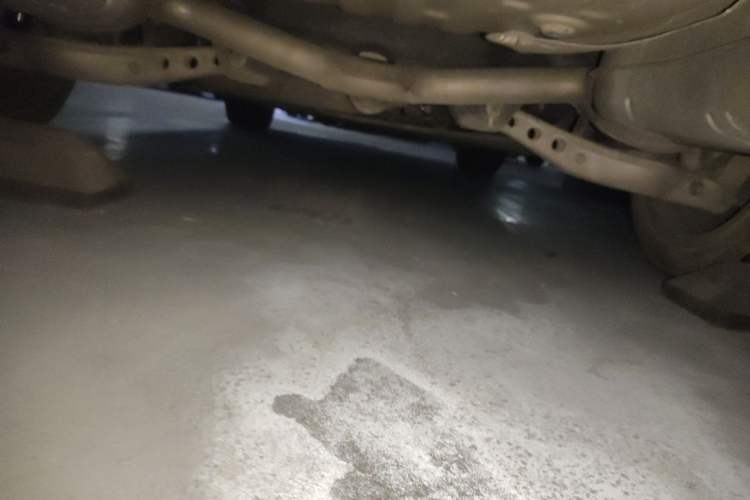 Used Buick Regal 2017 28T Prestige Model Chassis Rear