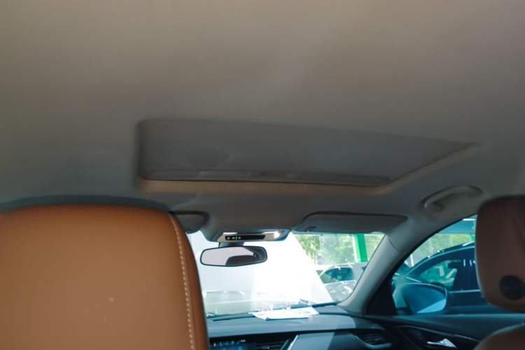 Used Buick Regal 2017 20T Elite Edition Headliner