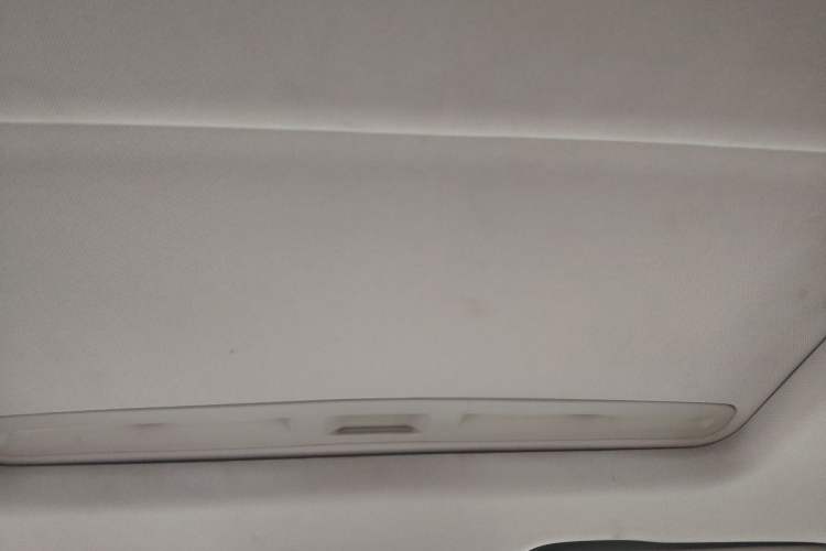 Used Buick Regal 2017 20T Elite Edition Headliner