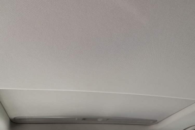 Used Buick Regal 2017 20T Elite Edition Headliner