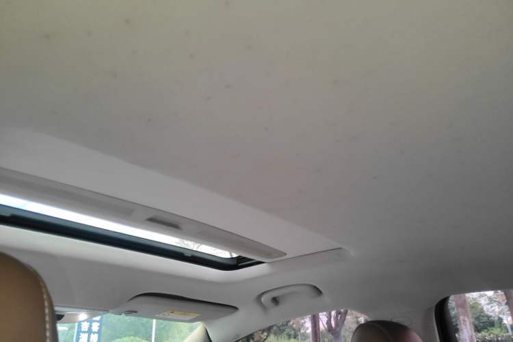Used Buick Regal 2017 20T Luxury Model Headliner