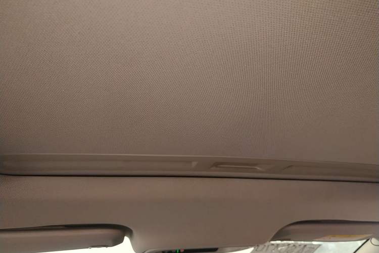 Used Buick Regal 2017 20T Luxury Model Headliner