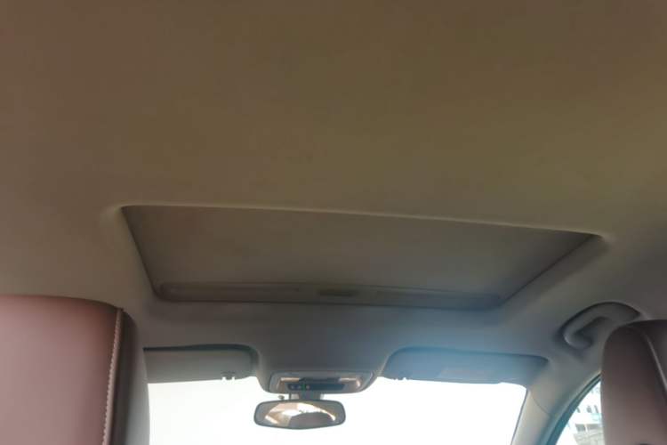Used Buick Regal 2017 20T Elite Edition Headliner