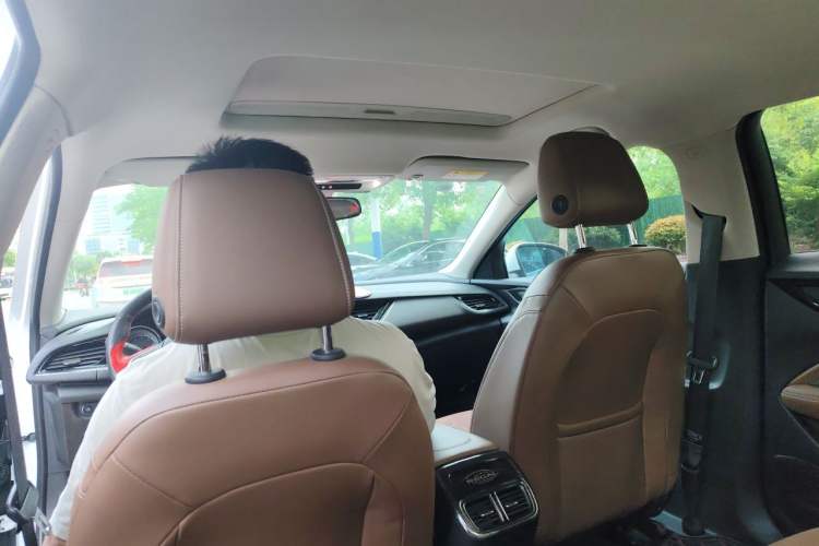 Used Buick Regal 2017 20T Elite Edition Headliner