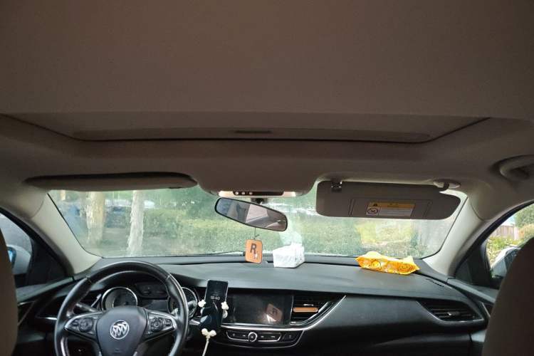 Used Buick Regal 2017 20T Elite Edition Headliner