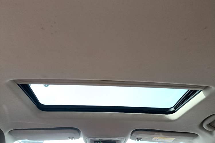 Used Buick Regal 2017 20T Elite Edition Headliner