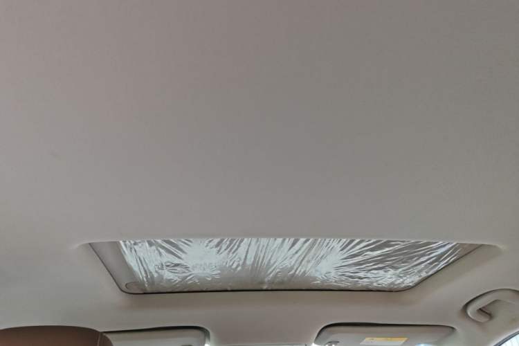 Used Buick Regal 2017 20T Elite Edition Headliner
