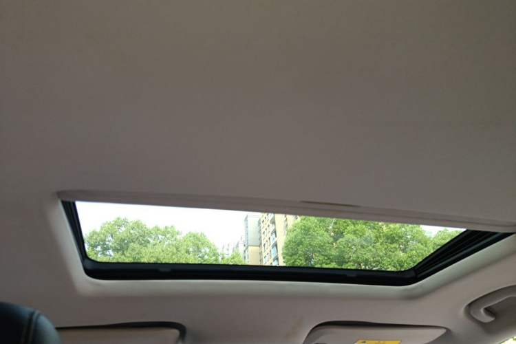 Used Buick Regal 2017 20T Elite Edition Headliner