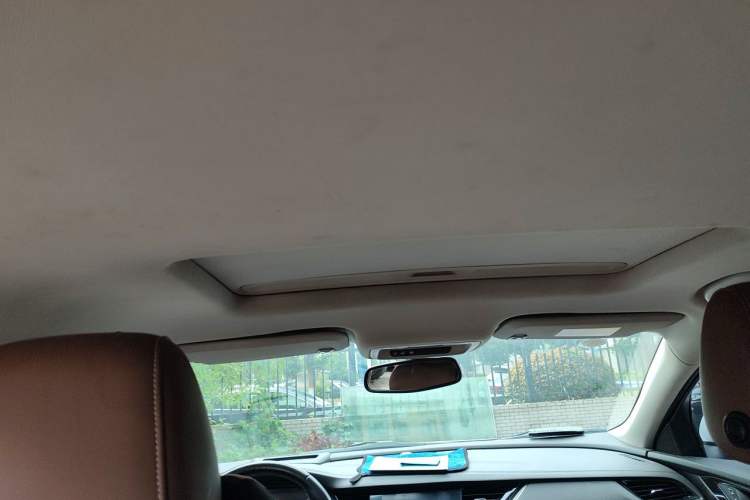 Used Buick Regal 2017 28T Luxury Edition Headliner