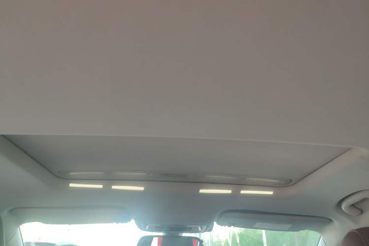 Used Buick Regal 2017 20T Elite Edition Headliner