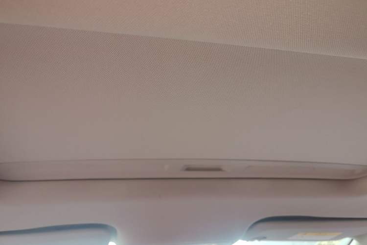 Used Buick Regal 2017 20T Elite Edition Headliner