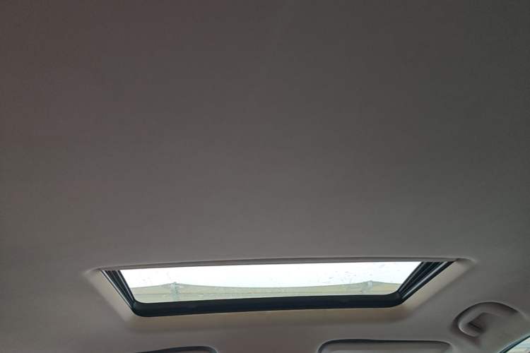 Used Buick Regal 2017 20T Elite Edition Headliner