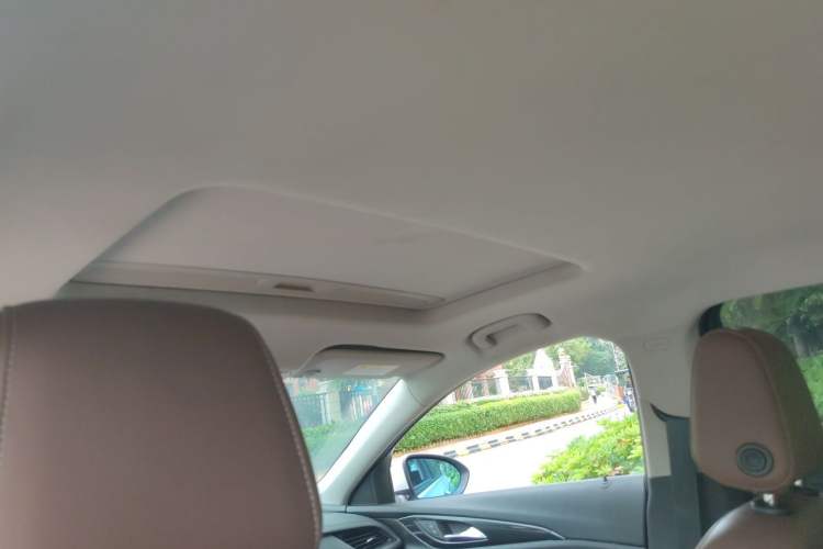 Used Buick Regal 2017 20T Elite Edition Headliner