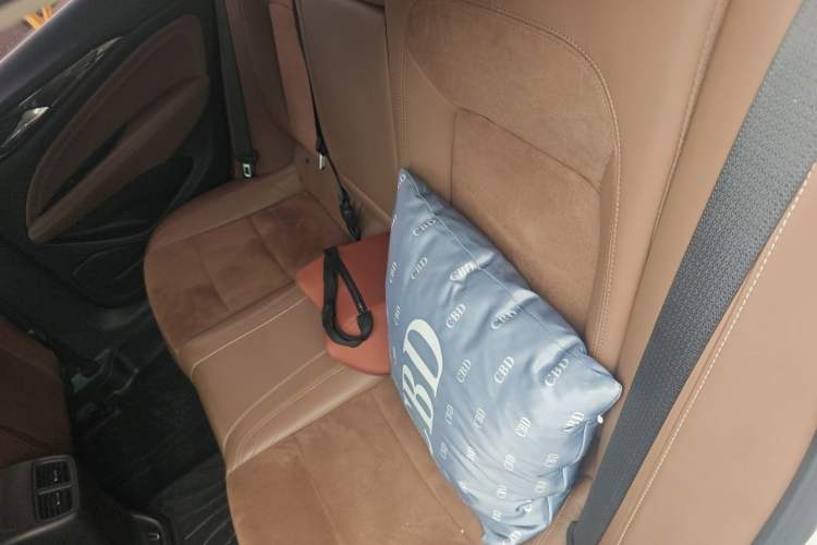 Used Buick Regal 2017 20T Luxury Model Left Rear Seat