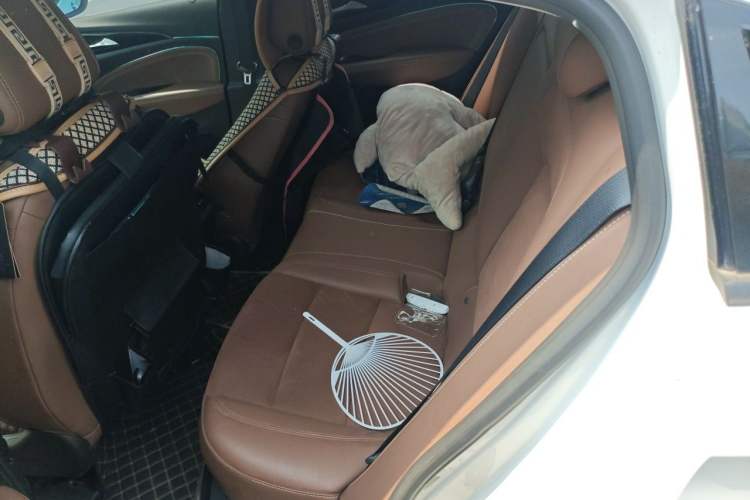 Used Buick Regal 2017 20T Elite Edition Left Rear Seat