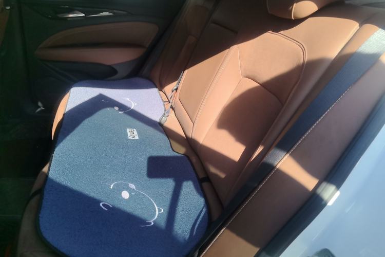 Used Buick Regal 2017 20T Elite Edition Left Rear Seat