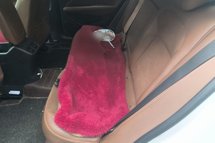 Used Buick Regal 2017 20T Luxury Model Left Rear Seat