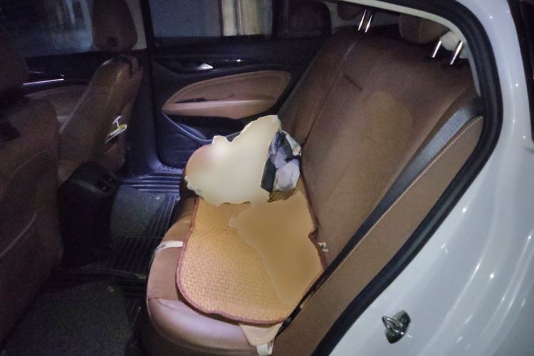 Used Buick Regal 2017 20T Luxury Model Left Rear Seat