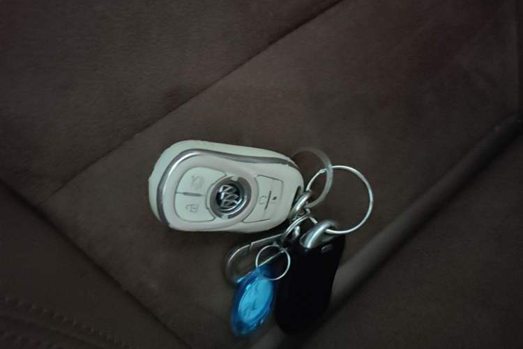 Used Buick Regal 2017 20T Elite Edition Vehicle Key