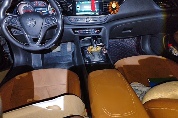 Used Buick Regal 2019 20T Luxury Model China V Standard Center Console