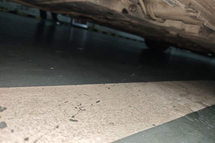 Used Buick Regal 2019 20T Luxury Model China VI Standard Chassis Rear Right