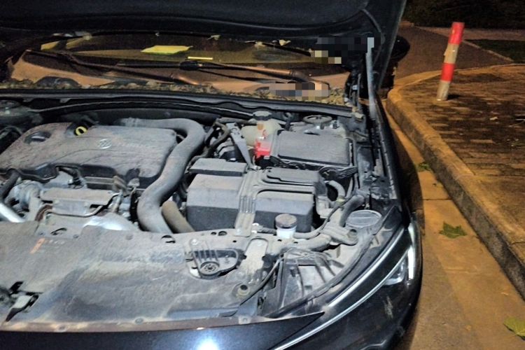 Used Buick Regal 2019 20T Elite Version China VI Standard Engine Bay Left