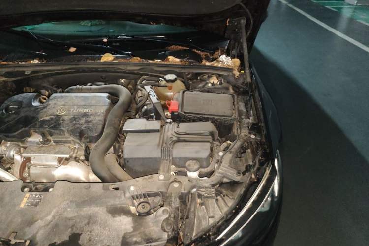 Used Buick Regal 2019 20T Luxury Model China VI Standard Engine Bay Left