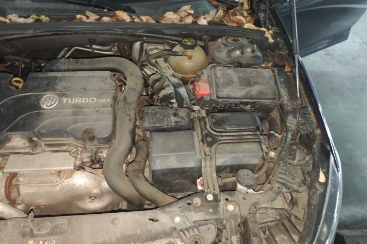 Used Buick Regal 2019 20T Elite Version China VI Standard Engine Bay Left