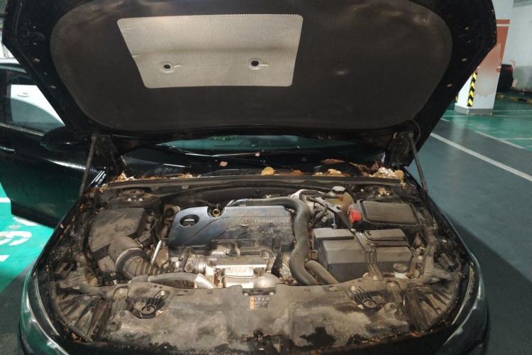 Used Buick Regal 2019 20T Luxury Model China VI Standard Engine Bay
