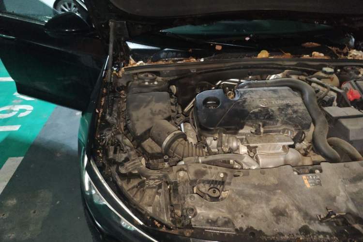 Used Buick Regal 2019 20T Luxury Model China VI Standard Engine Bay Right