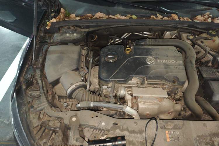 Used Buick Regal 2019 20T Elite Version China VI Standard Engine Bay Right