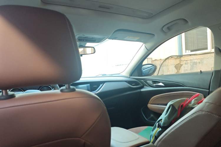 Used Buick Regal 2019 20T Elite Version China VI Standard Headliner
