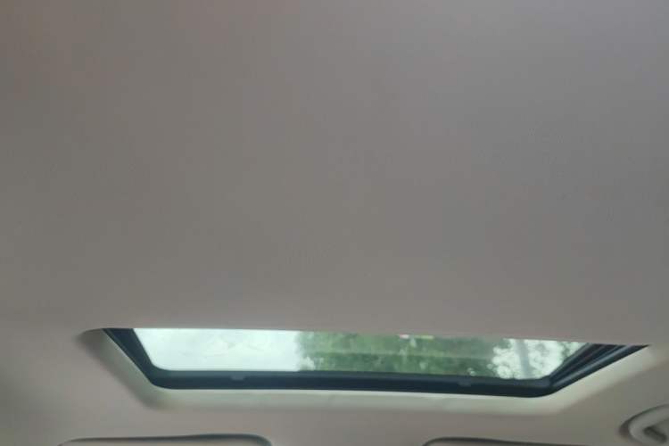 Used Buick Regal 2019 20T Elite Version China VI Standard Headliner