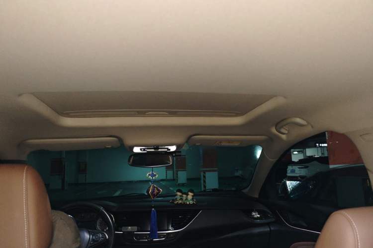 Used Buick Regal 2019 20T Luxury Model China VI Standard Headliner