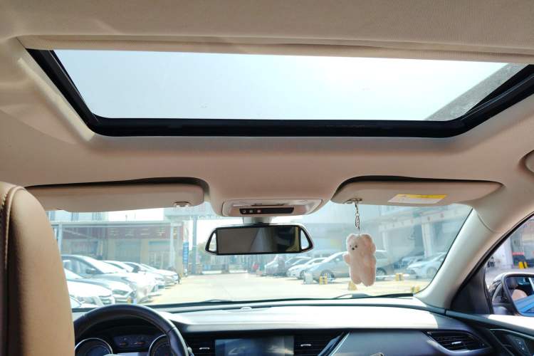 Used Buick Regal 2019 20T Elite Version China VI Standard Headliner