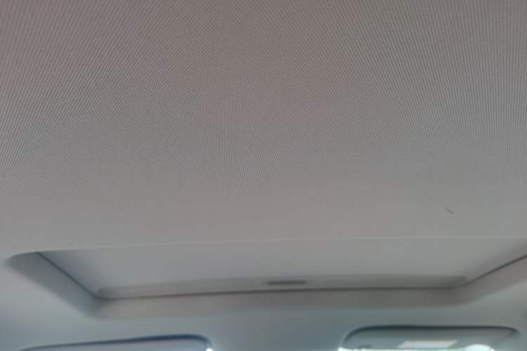 Used Buick Regal 2019 20T Elite Version China VI Standard Headliner