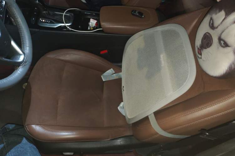 Used Buick Regal 2019 20T Elite Version China VI Standard Left Front Seat