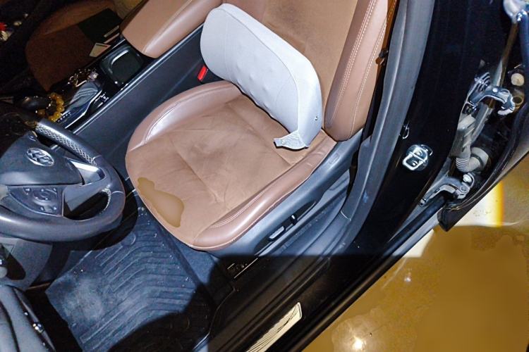 Used Buick Regal 2019 20T Luxury Model China V Standard Left Front Seat