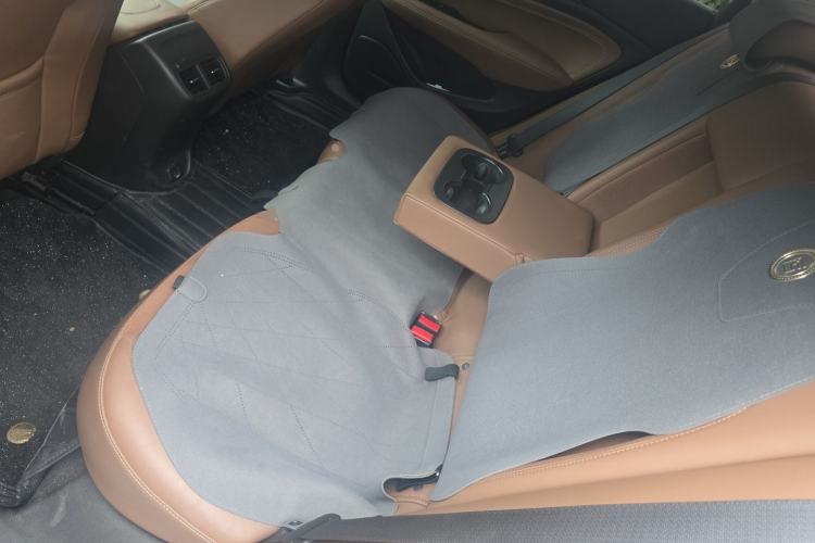 Used Buick Regal 2019 20T Elite Version China V Standard Left Rear Seat