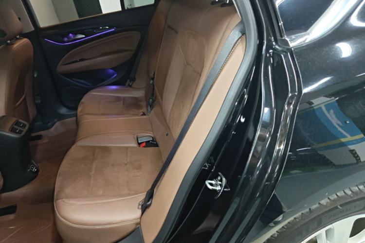 Used Buick Regal 2019 20T Elite Version China V Standard Left Rear Seat