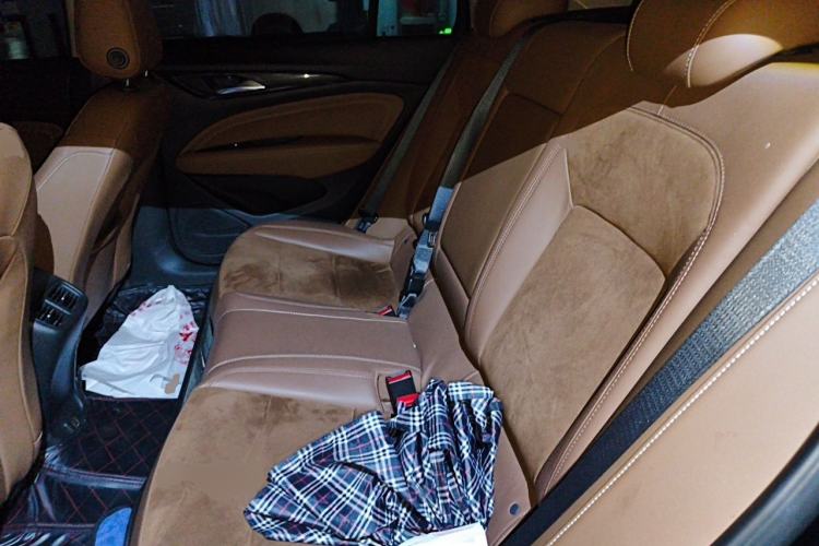Used Buick Regal 2019 20T Luxury Model China V Standard Left Rear Seat
