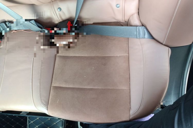 Used Buick Regal 2019 20T Elite Version China VI Standard Left Rear Seat