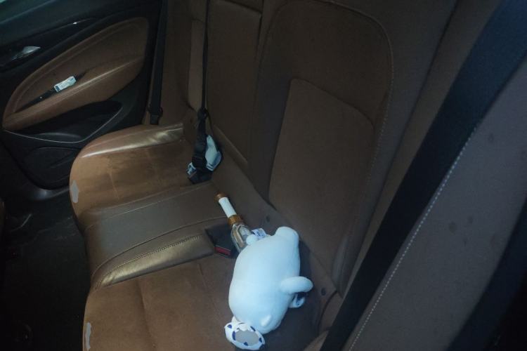 Used Buick Regal 2019 20T Elite Version China VI Standard Left Rear Seat